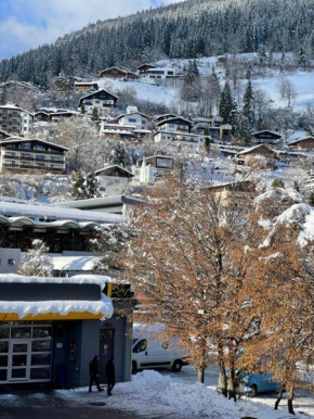 Appartement Berger Zell Am See